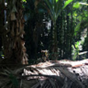 Meet your Posher, Greta